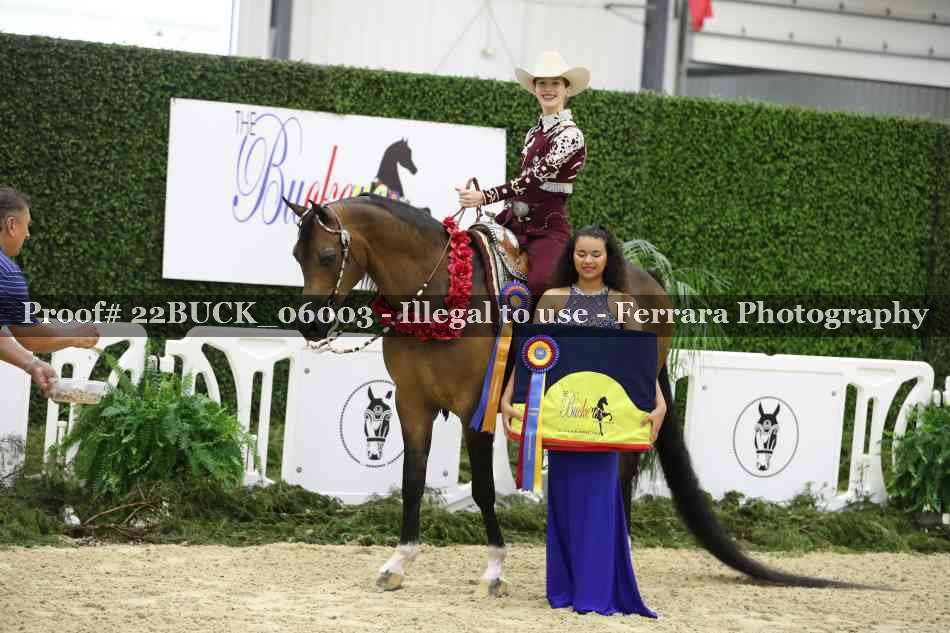 Proof 22BUCK_06003