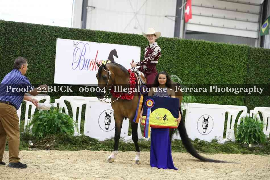 Proof 22BUCK_06004