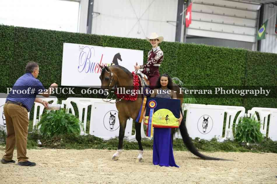 Proof 22BUCK_06005