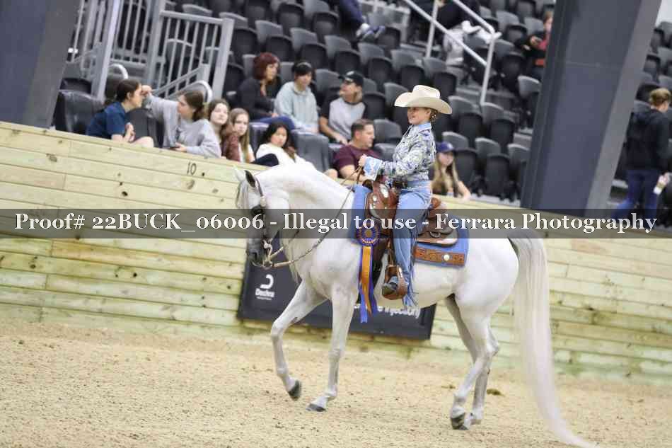 Proof 22BUCK_06006