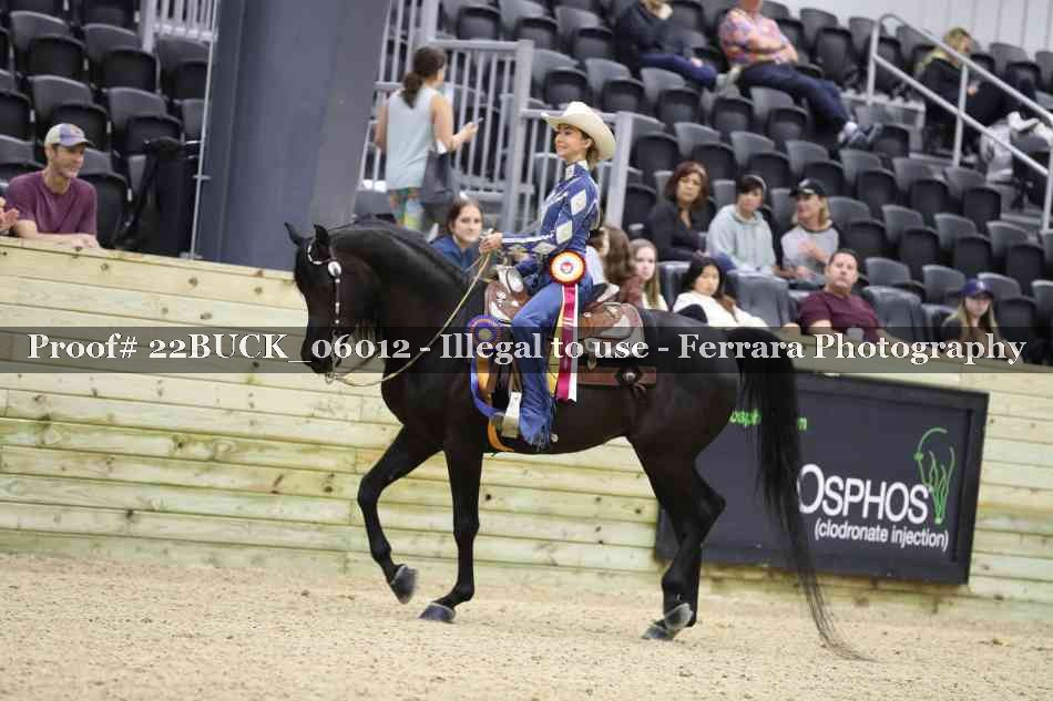 Proof 22BUCK_06012