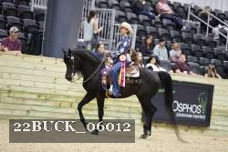 22BUCK_06012 proof