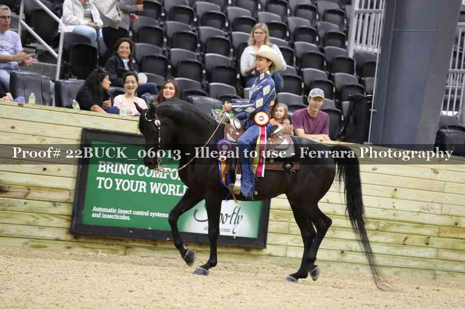 Proof 22BUCK_06013