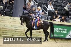 22BUCK_06014 proof