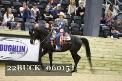 22BUCK_06015 proof