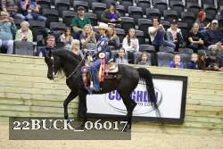 22BUCK_06017 proof