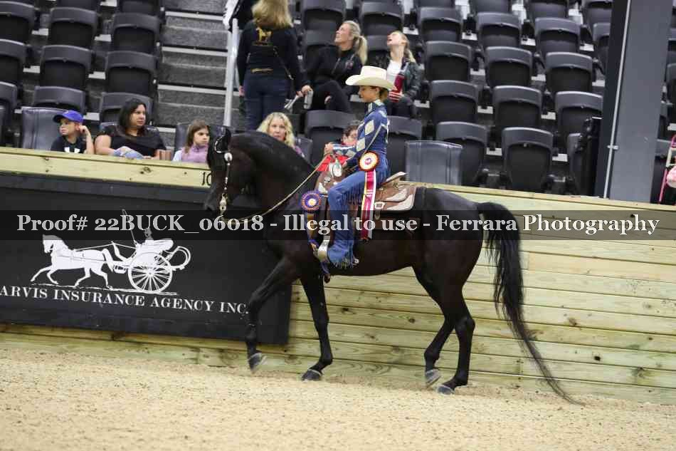 Proof 22BUCK_06018