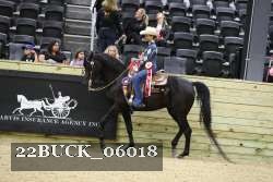 22BUCK_06018 proof
