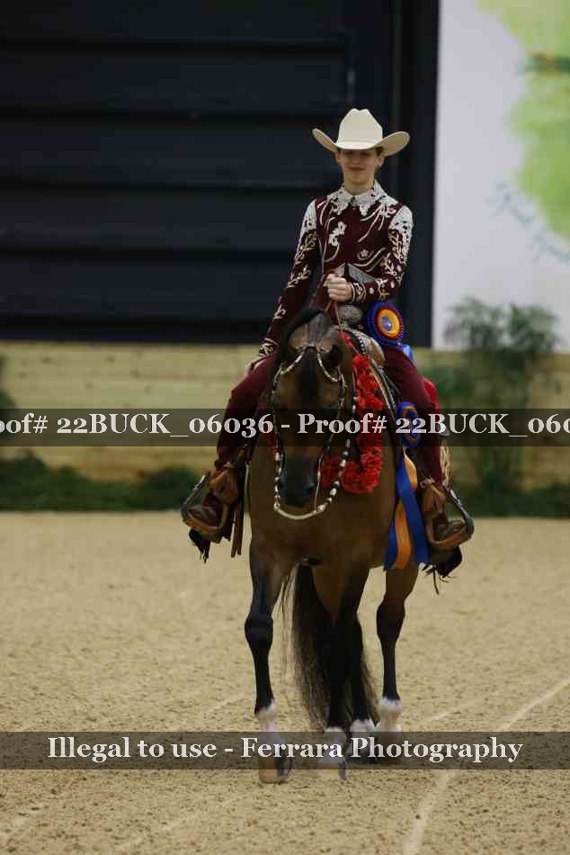 Proof 22BUCK_06036