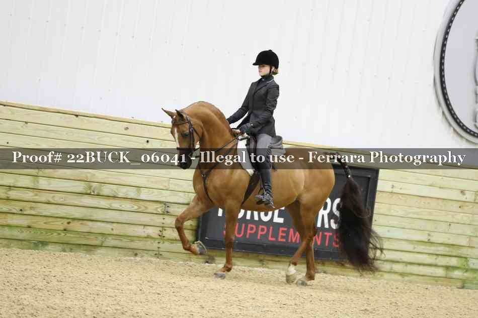 Proof 22BUCK_06041