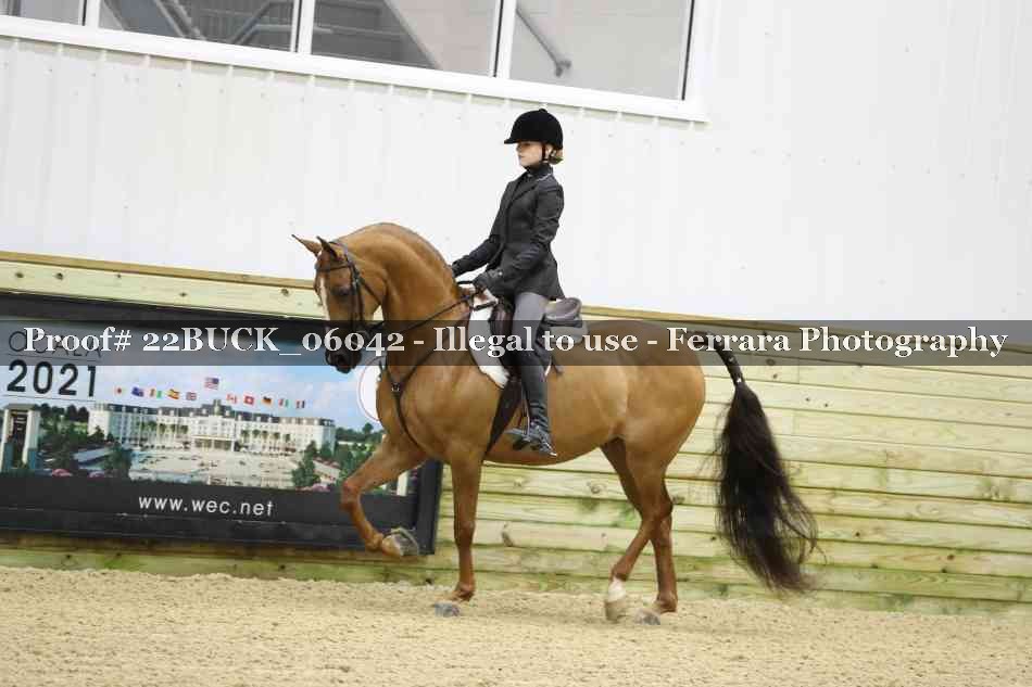 Proof 22BUCK_06042