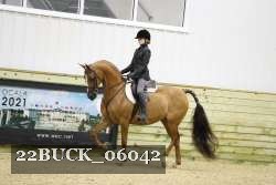 22BUCK_06042 proof