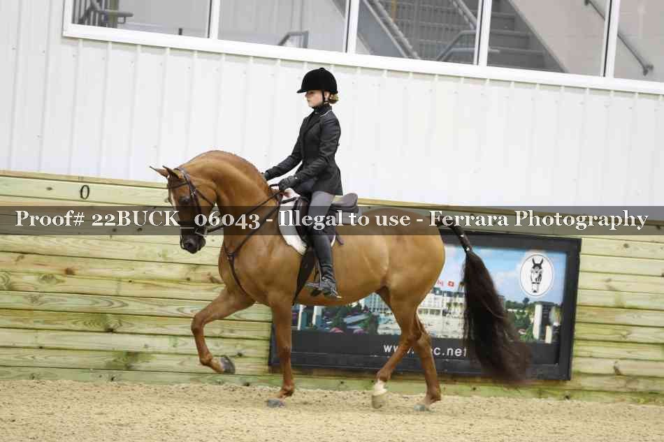 Proof 22BUCK_06043