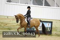 22BUCK_06043 proof