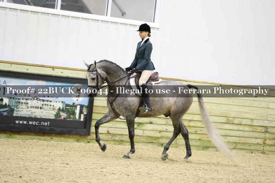 Proof 22BUCK_06044