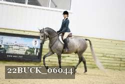 22BUCK_06044 proof