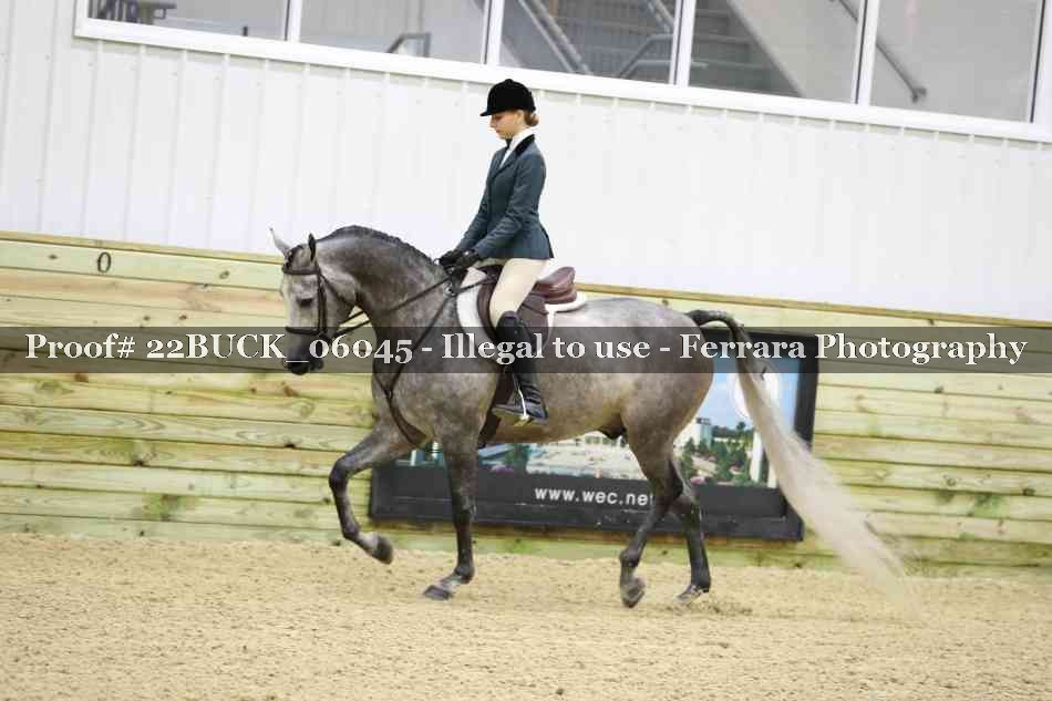 Proof 22BUCK_06045