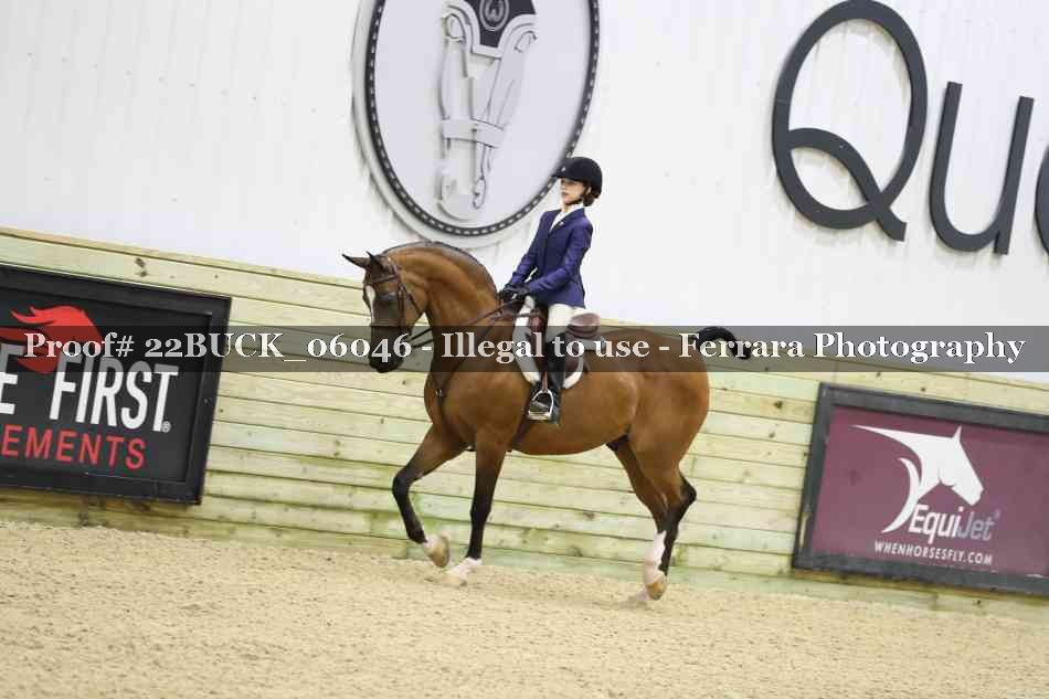 Proof 22BUCK_06046