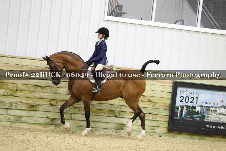 Proof 22BUCK_06049