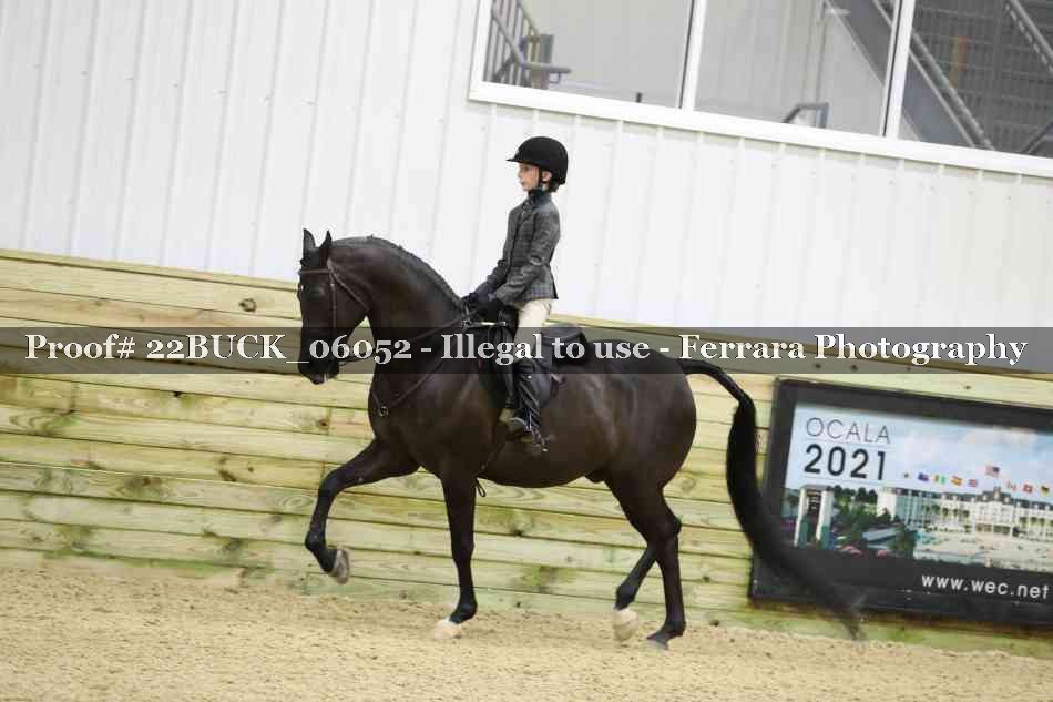 Proof 22BUCK_06052