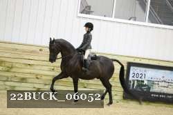 22BUCK_06052 proof