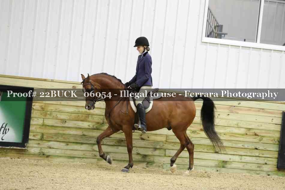 Proof 22BUCK_06054