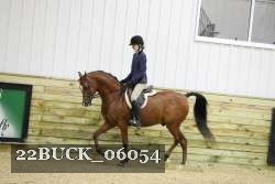 22BUCK_06054 proof