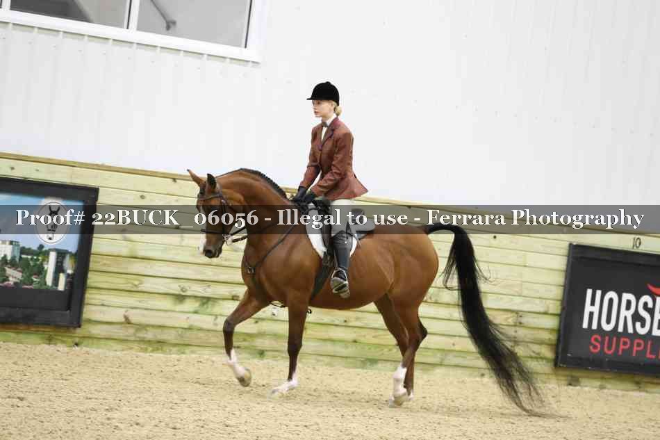 Proof 22BUCK_06056