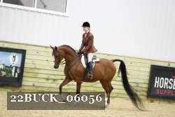 22BUCK_06056 proof
