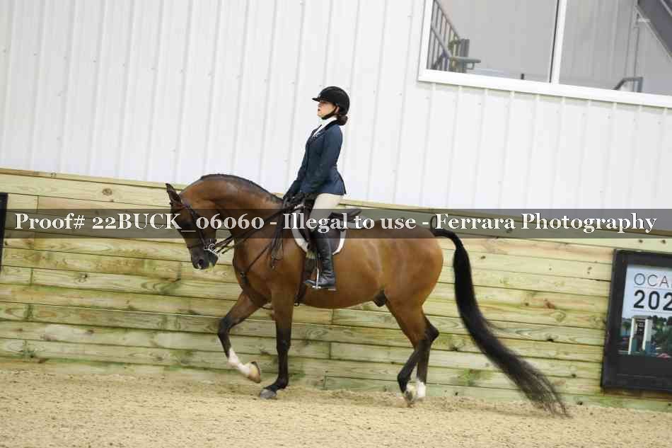 Proof 22BUCK_06060
