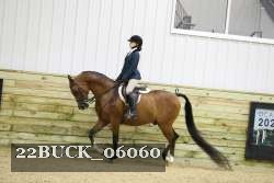 22BUCK_06060 proof
