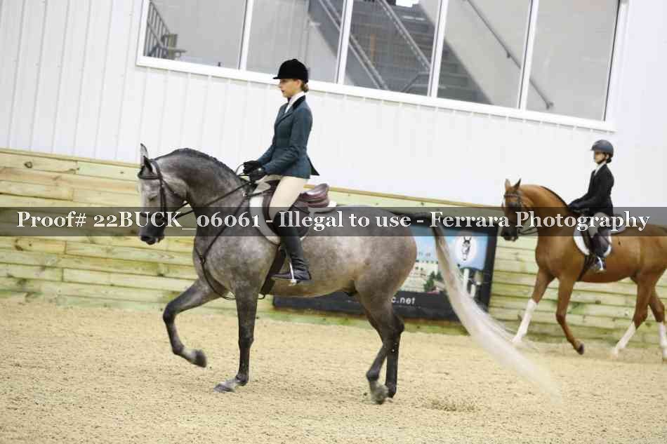 Proof 22BUCK_06061