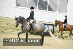 22BUCK_06061 proof