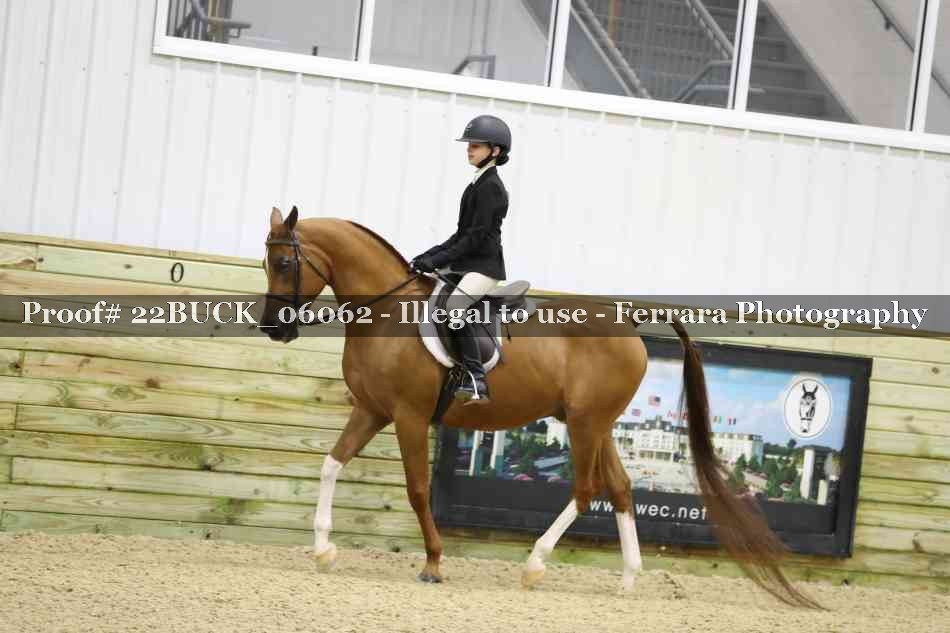 Proof 22BUCK_06062