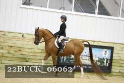 22BUCK_06062 proof