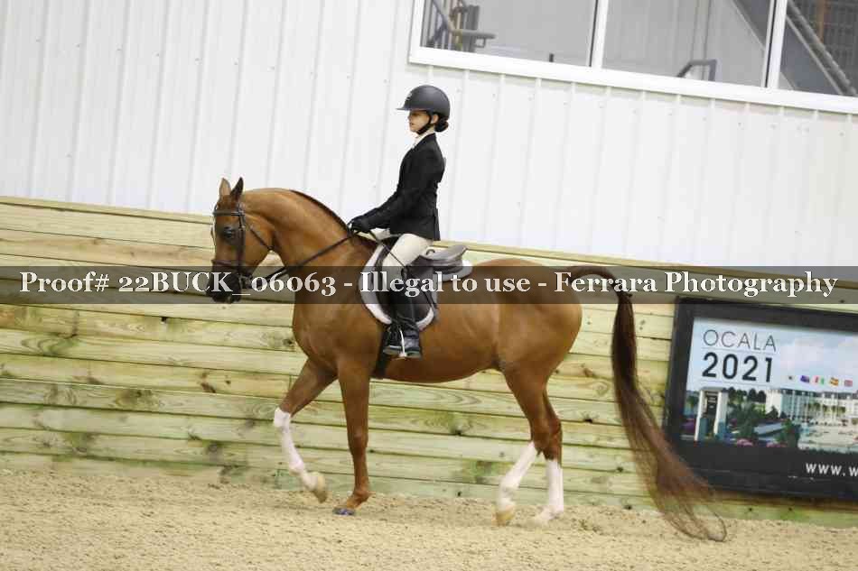 Proof 22BUCK_06063