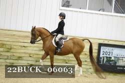 22BUCK_06063 proof