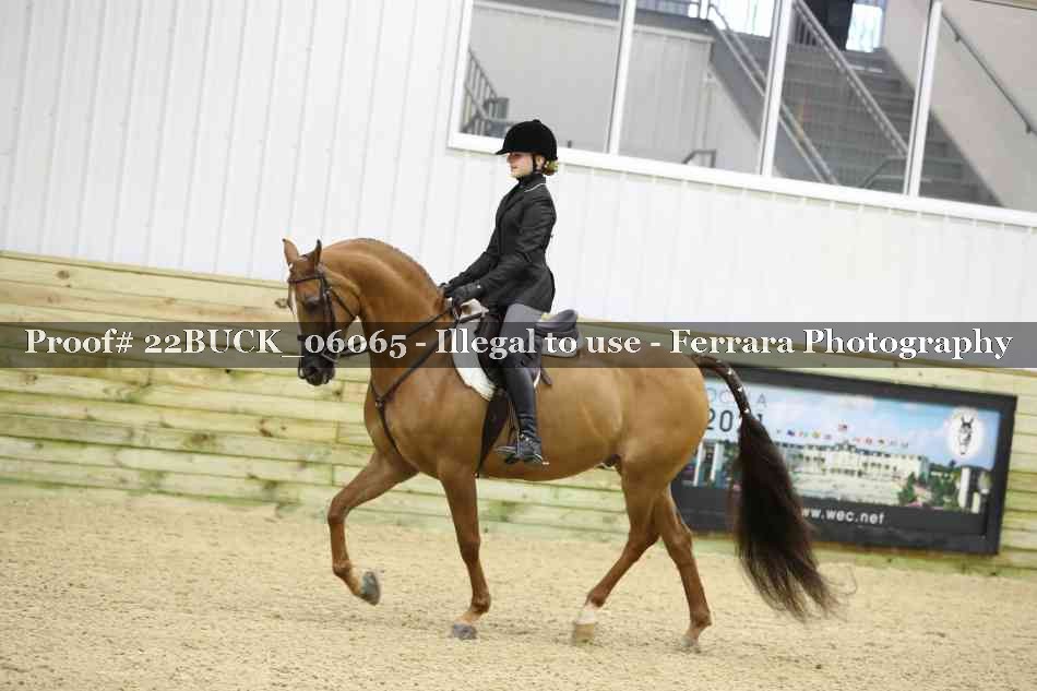 Proof 22BUCK_06065