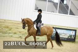 22BUCK_06065 proof