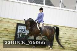 22BUCK_06066 proof