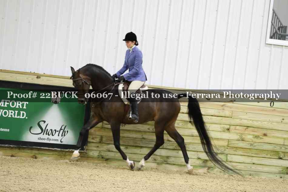 Proof 22BUCK_06067