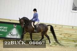 22BUCK_06067 proof