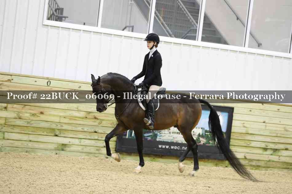 Proof 22BUCK_06069