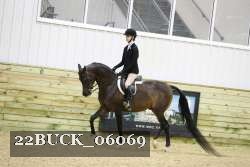 22BUCK_06069 proof