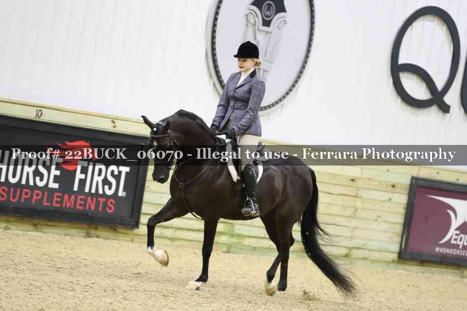 Proof 22BUCK_06070