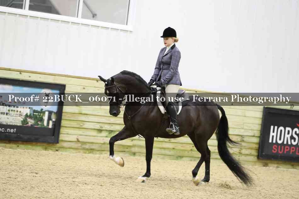 Proof 22BUCK_06071
