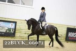 22BUCK_06071 proof