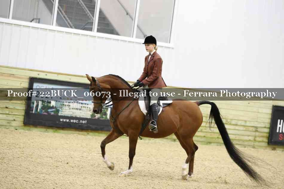 Proof 22BUCK_06073