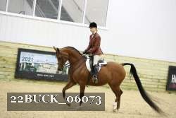 22BUCK_06073 proof