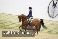 22BUCK_06075 proof